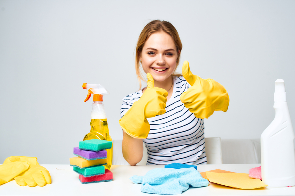 professional house cleaning